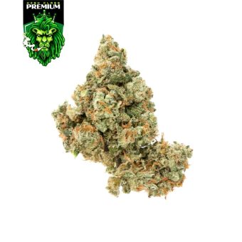 Jack Herer